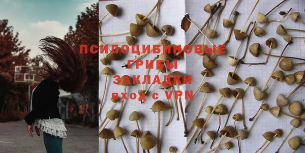 спиды Волоколамск