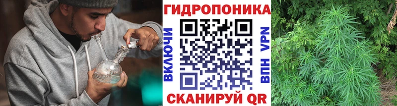 Бошки марихуана Bruce Banner Черкесск